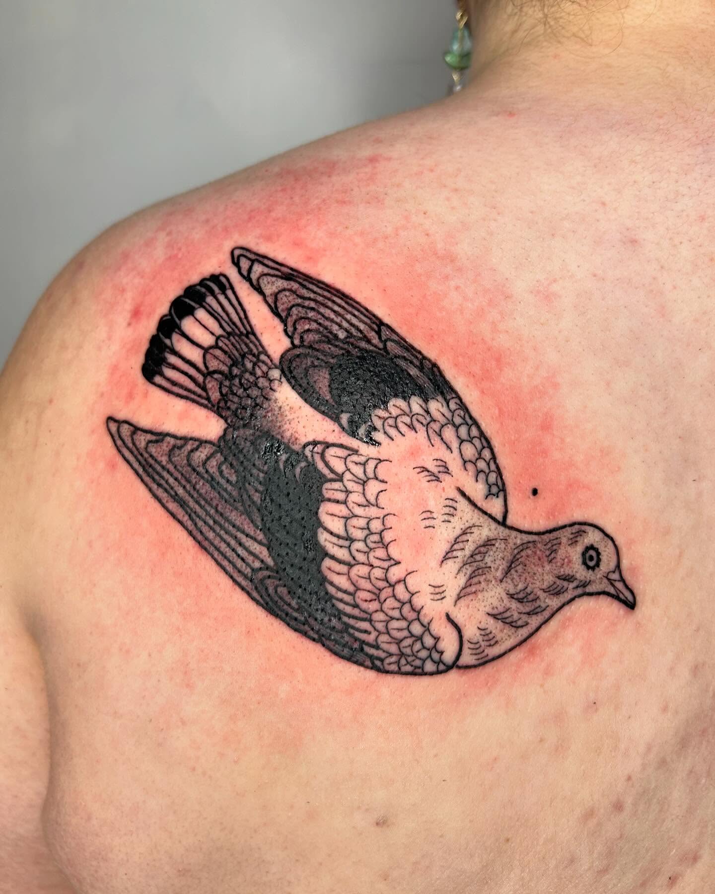 A dove tattooed on a shoulder blade in black