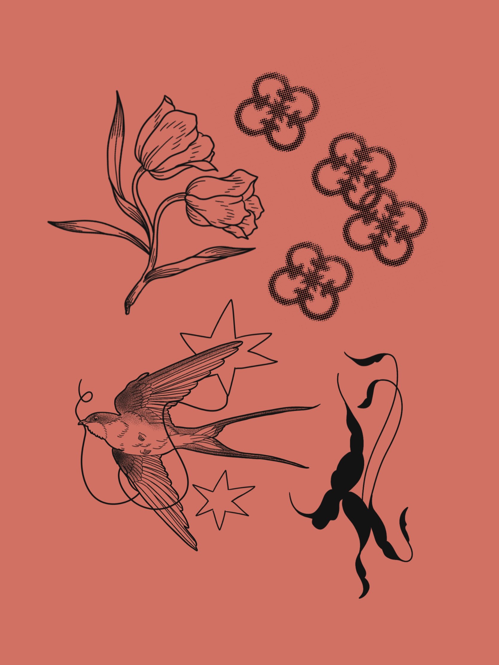 Flash sheet on coral: a tulip, a swallow among stars and quatrefoil knots