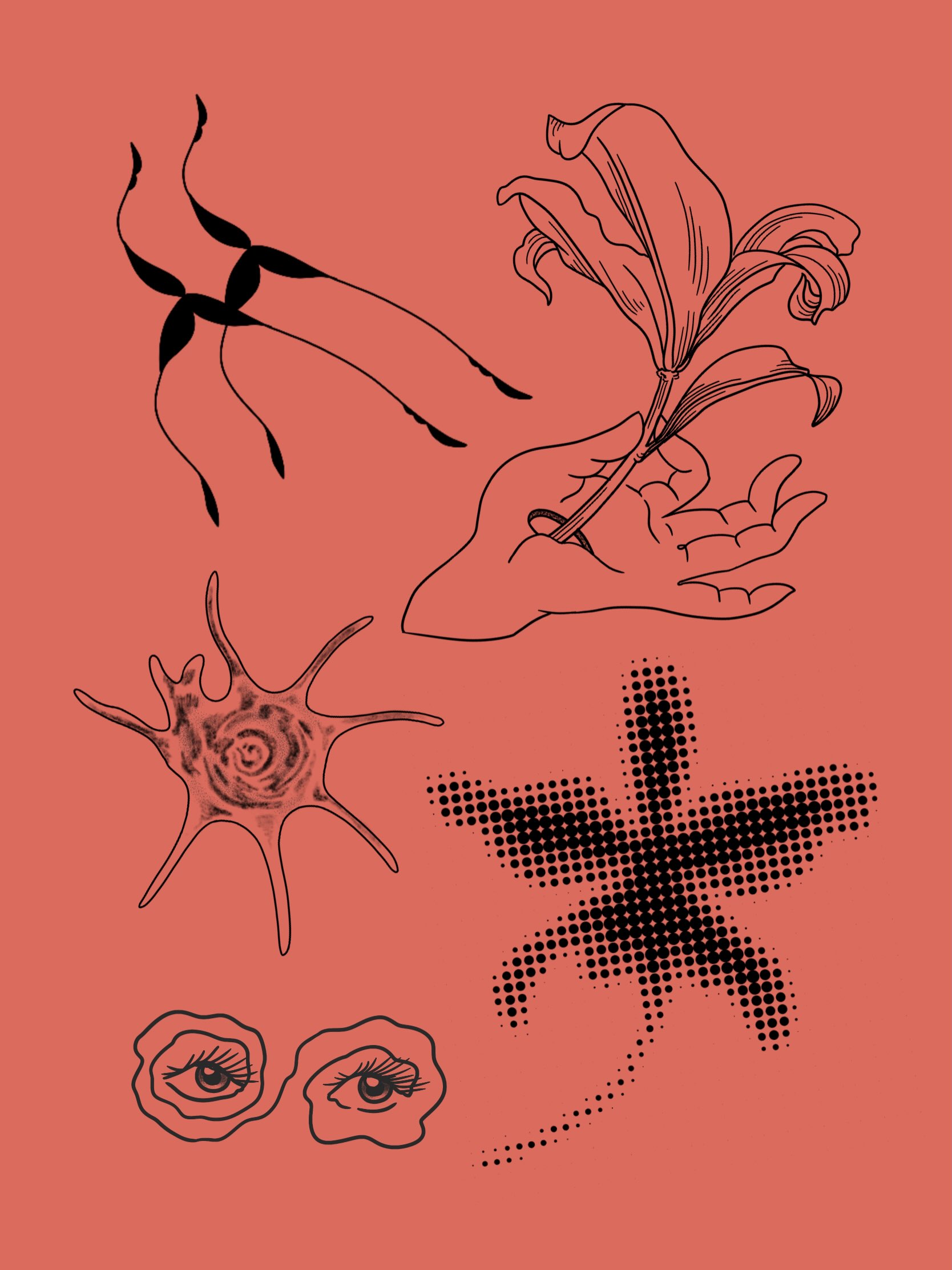 Flash sheet on coral: a lily held in a hand, a starfish, a halftone flower and a pair of eyes