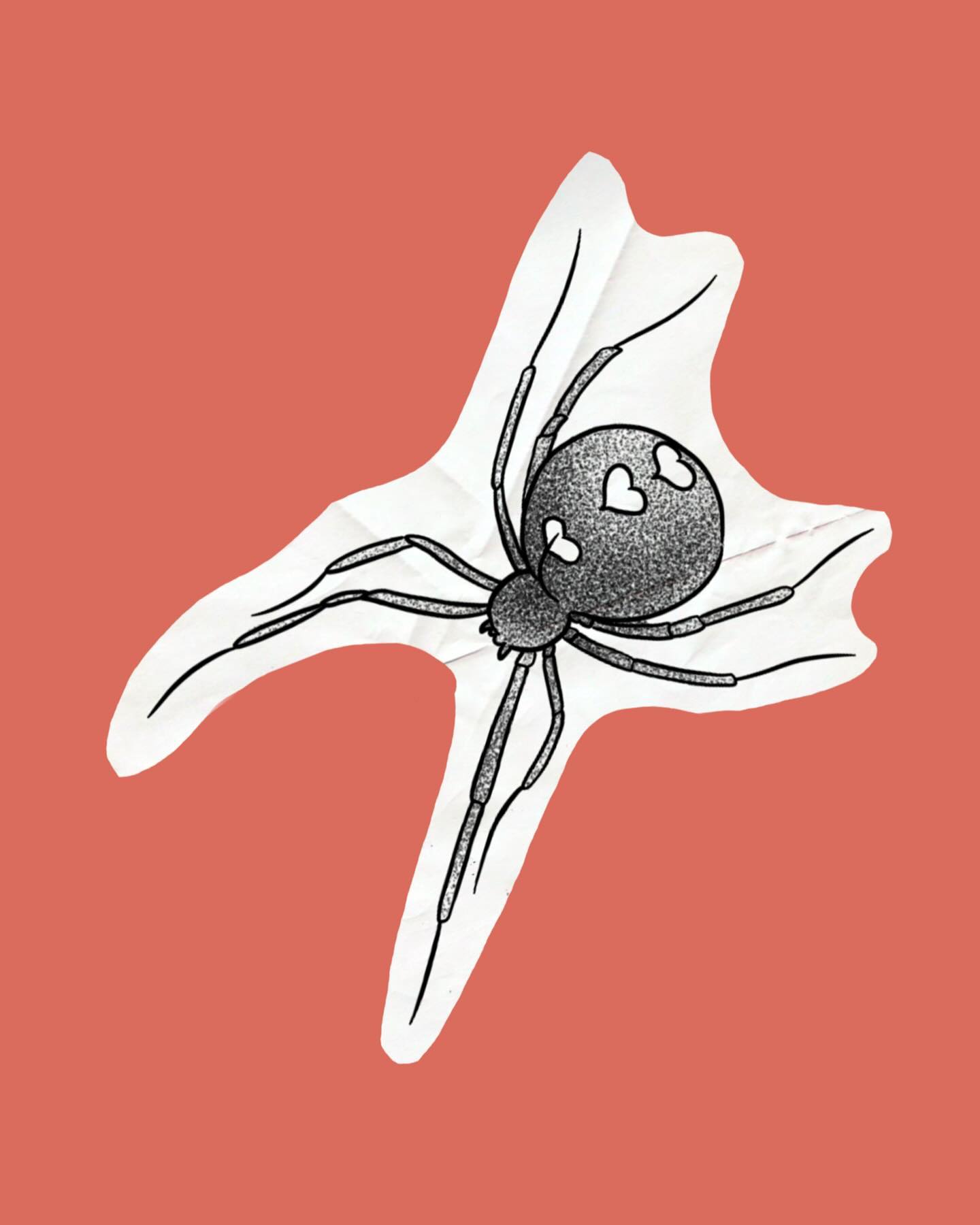 Spider